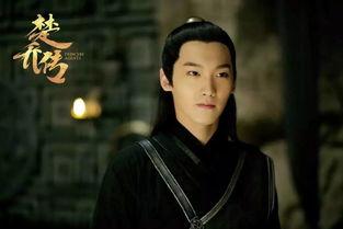 楚乔传里的所有演员,实力派与新生代同台竞技，演绎传奇人生
